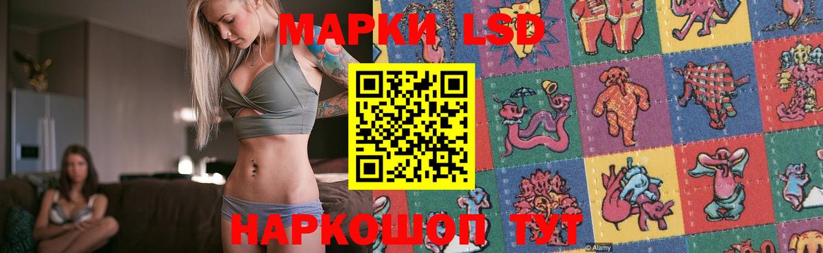 блэк спрут вход  Вход с VPN  Партизанск  ЛСД экстази ecstasy 