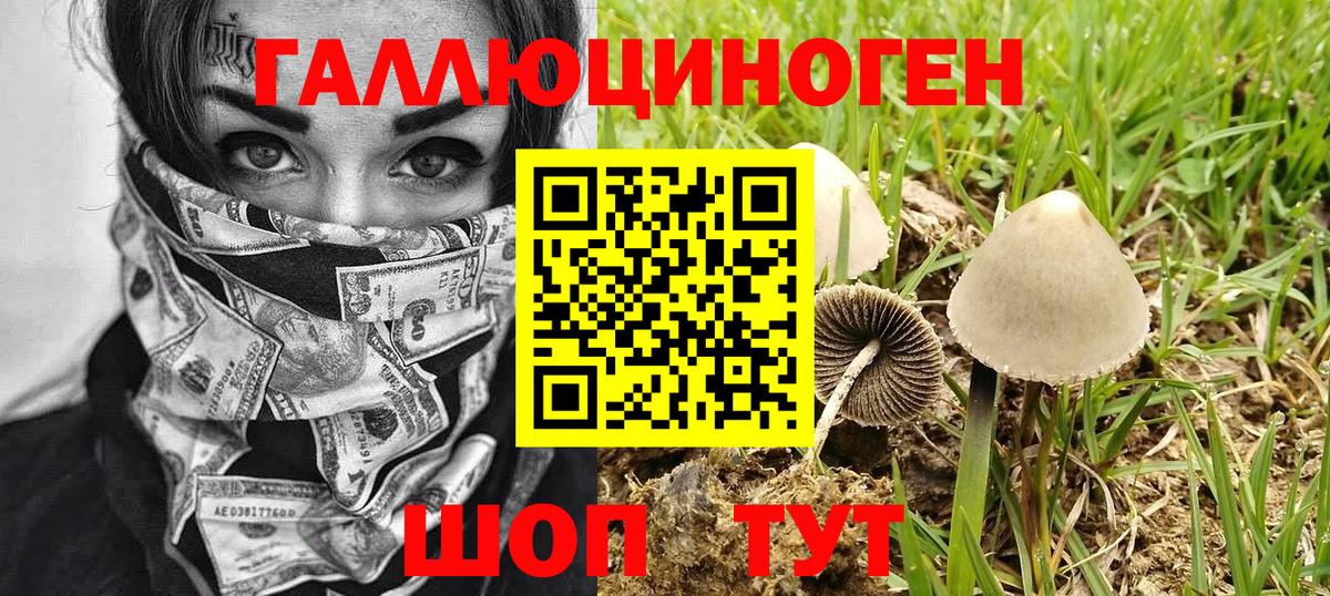 наркотики  Псилоцибиновые грибы ЛСД  Вход с VPN  Партизанск 