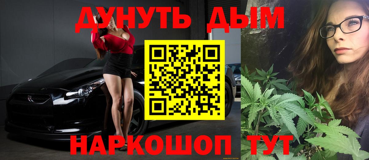 Бошки Шишки сатива  Вход с VPN  Партизанск  Каннабис планчик 